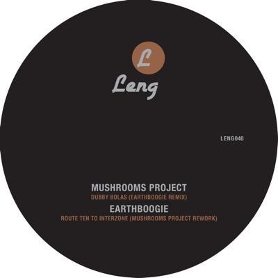 Mushrooms Project vs Earthboogie Remix EP - Earthboogie