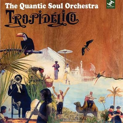 Tropidélico - Quantic Soul Orchestra