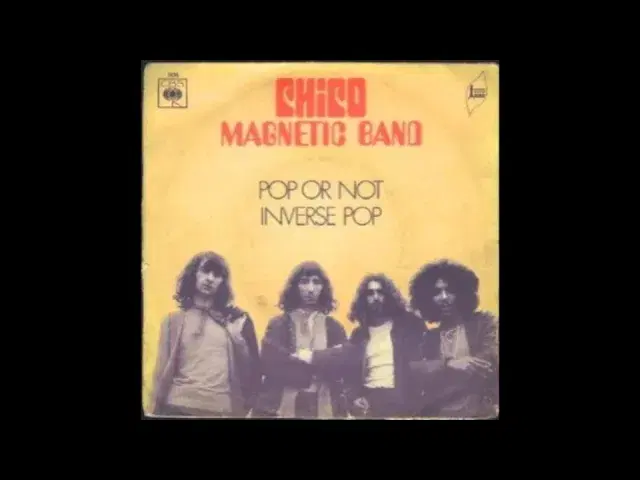  - Chico Magnetic Band