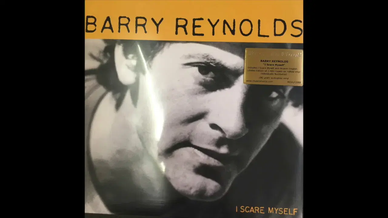 I Scare Myself - Barry Reynolds