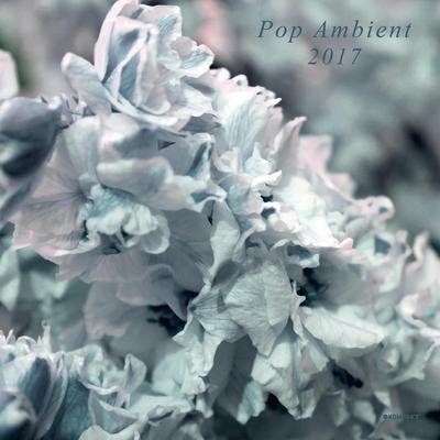 Pop Ambient 2017 - Kenneth James Gibson