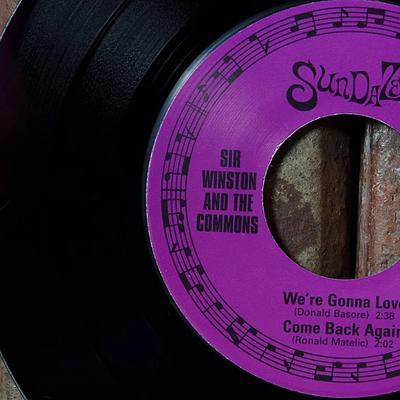 Vortex of Fuzz - Volume Two: I've Gone Wild - Sir Winston and the Commons