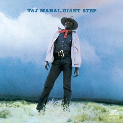 The Woodstock Generation - Taj Mahal