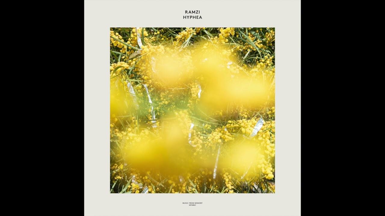 Hyphea - RAMZi