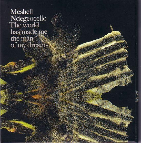 The World Has Made Me The Man Of My Dreams - Meshell Ndegeocello