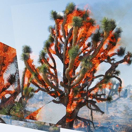 Face Time - Oren Ambarchi, Kassel Jaeger, James Rushford