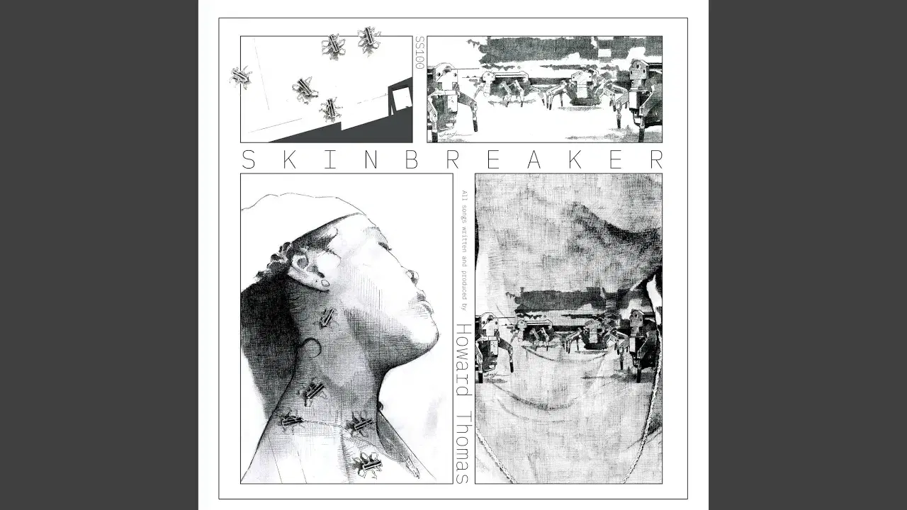 Skin Breaker - Howard Thomas