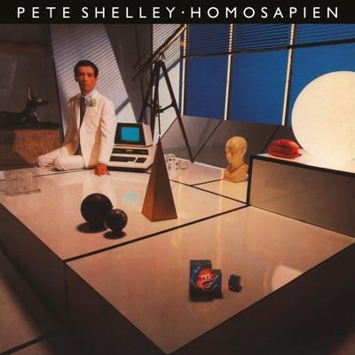  - Pete Shelley