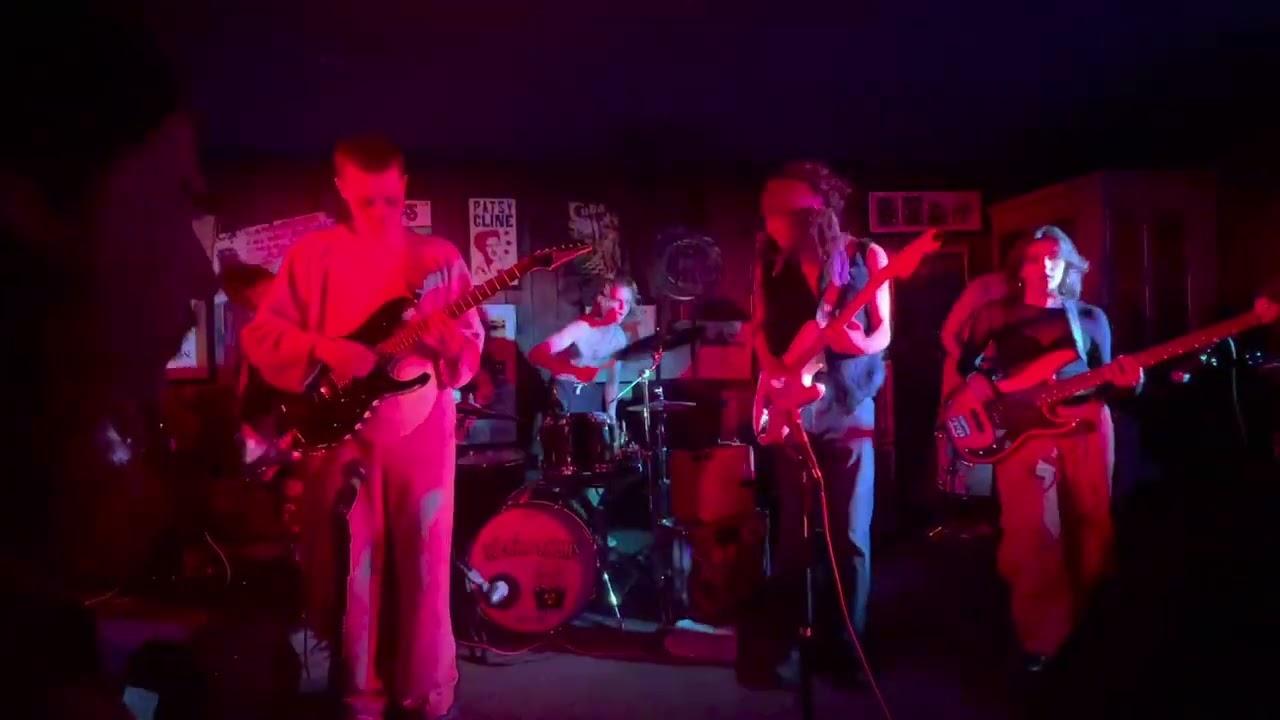 Locust Abortion Technician - The Butthole Surfers