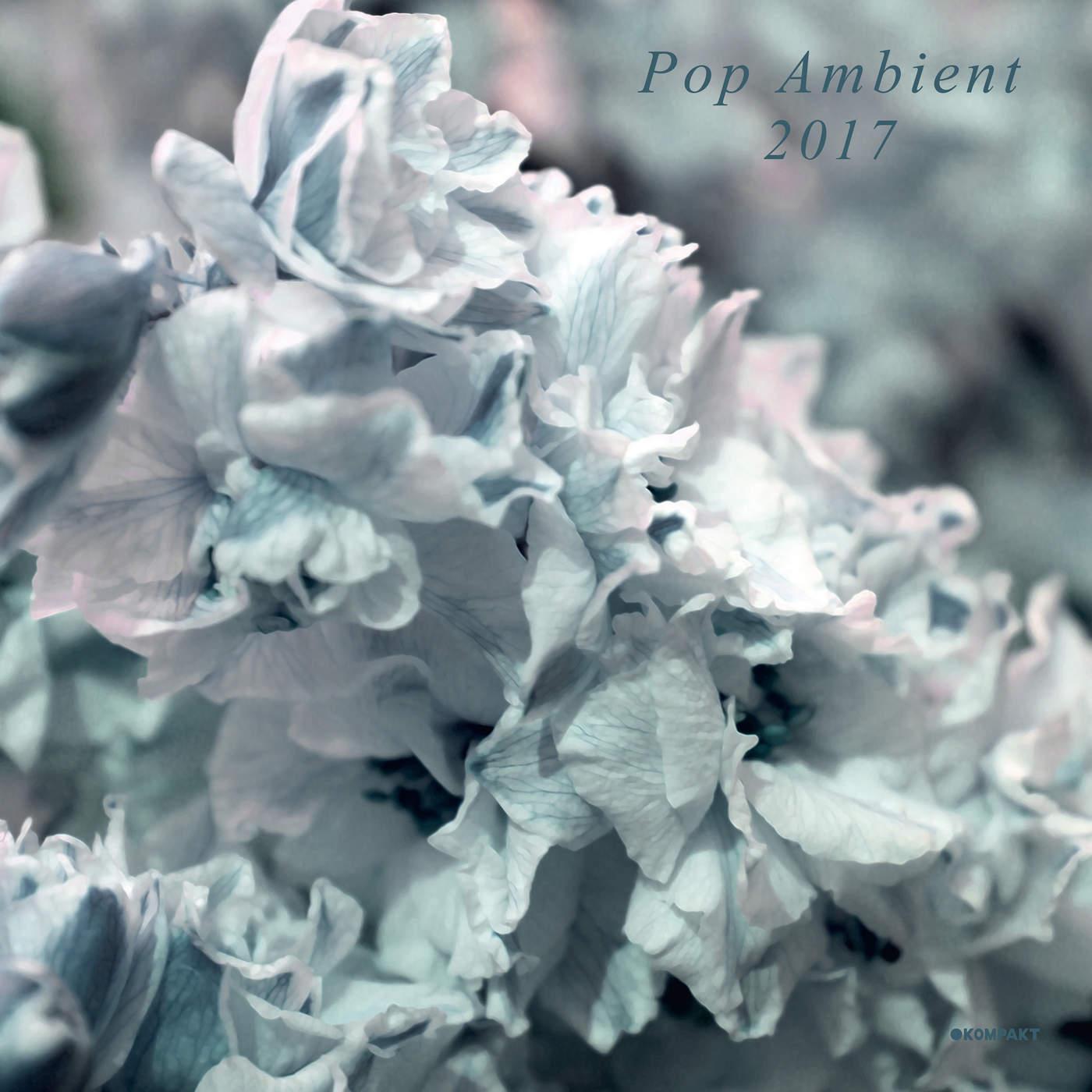 Pop Ambient 2017 - Kenneth James Gibson