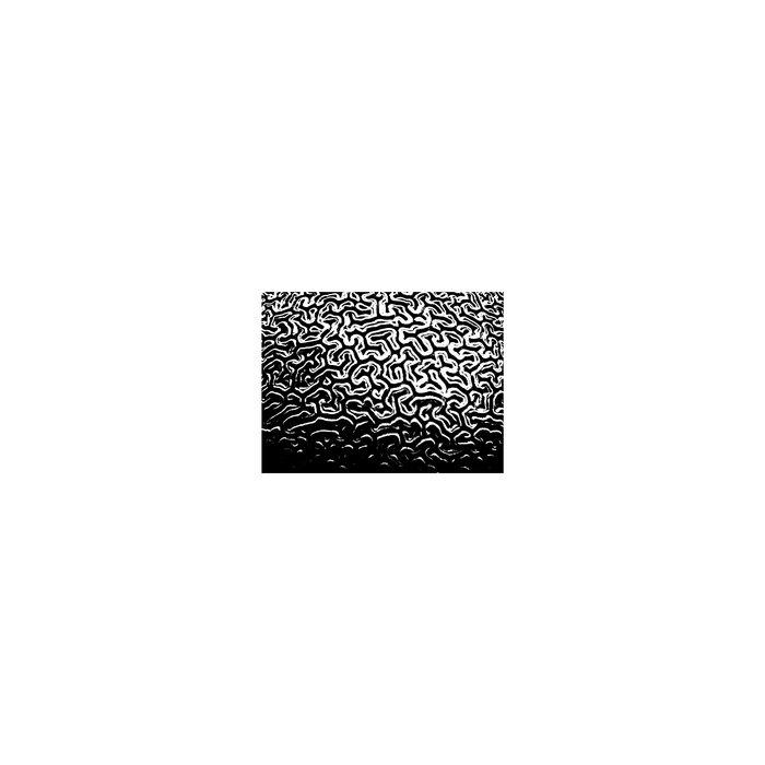 Voice - Electrospy