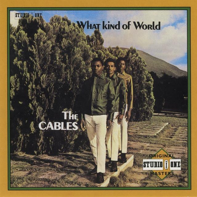 What Kind Of World - The Cables