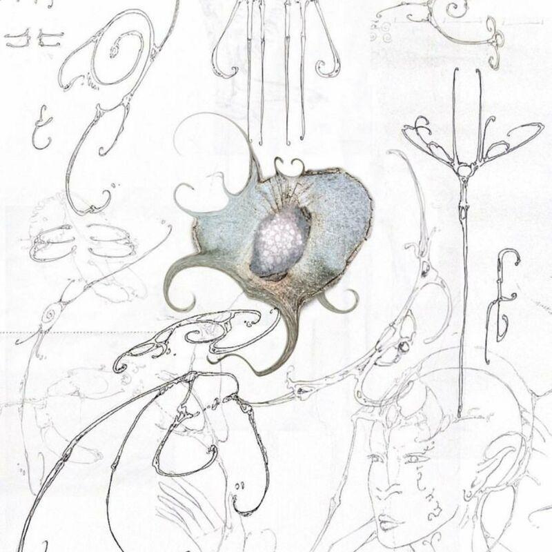 Celestia, Deep Sea Diver - Pearling