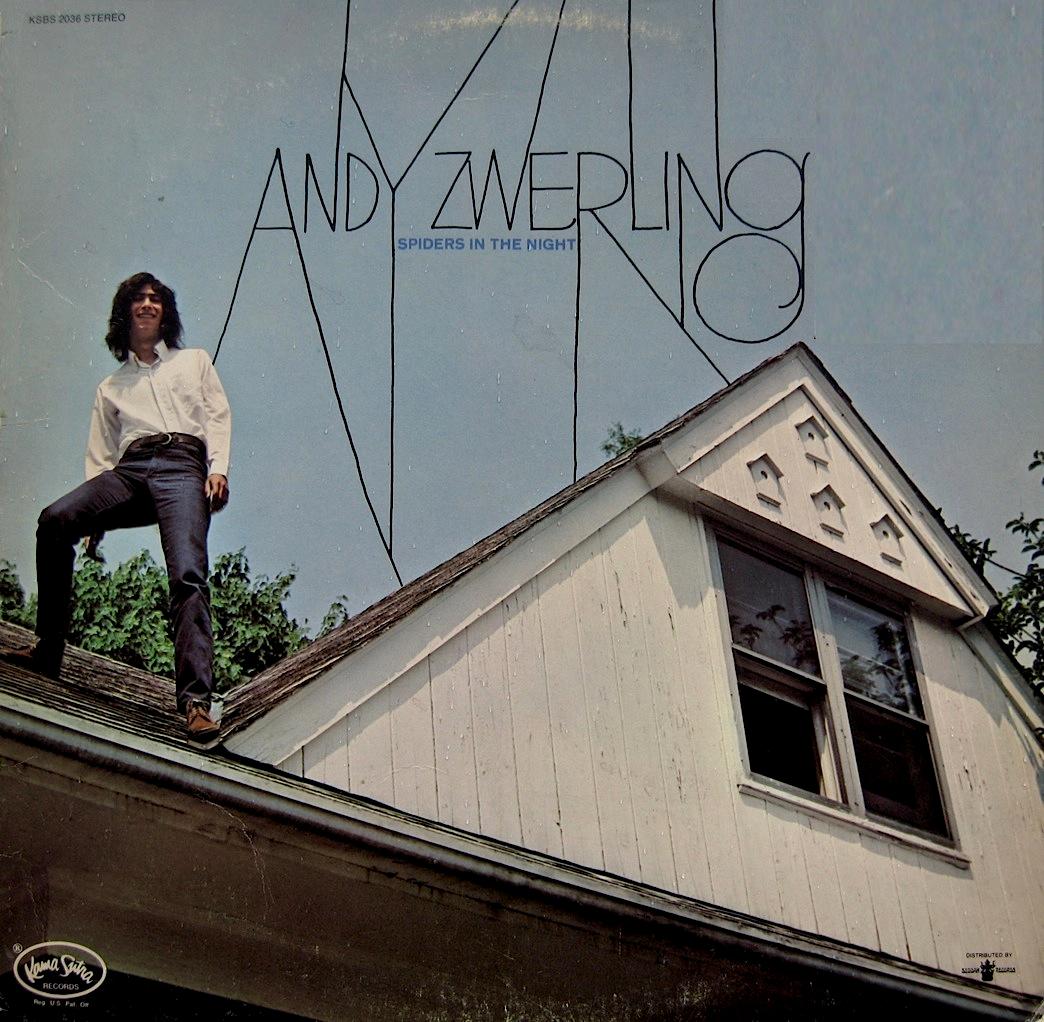 Spiders In The Night - Andy Zwerling