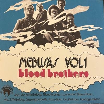  - The Mebusas