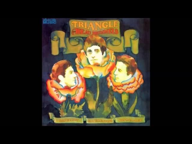 Unknown - The Beau Blummels