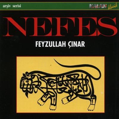Turquie: Chants Sacrés D'Anatolie - Feyzullah Çınar