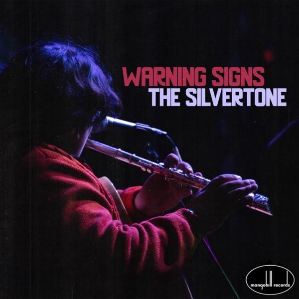 We Don't Have To - The Silvertone