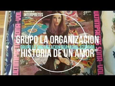  - La Organizacion