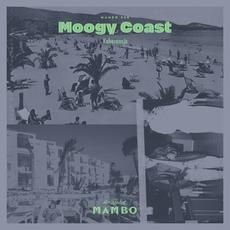 Koherencja - Moogy Coast