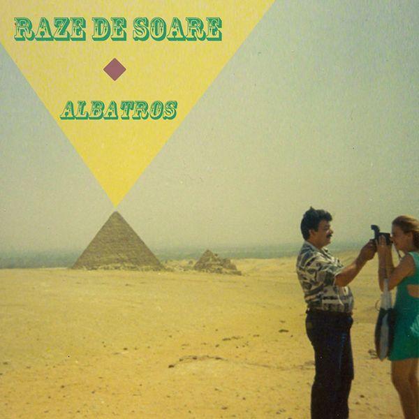 Albatros (Original Mix) - Raze De Soare