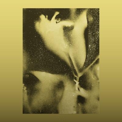 1983 - Flying Lotus