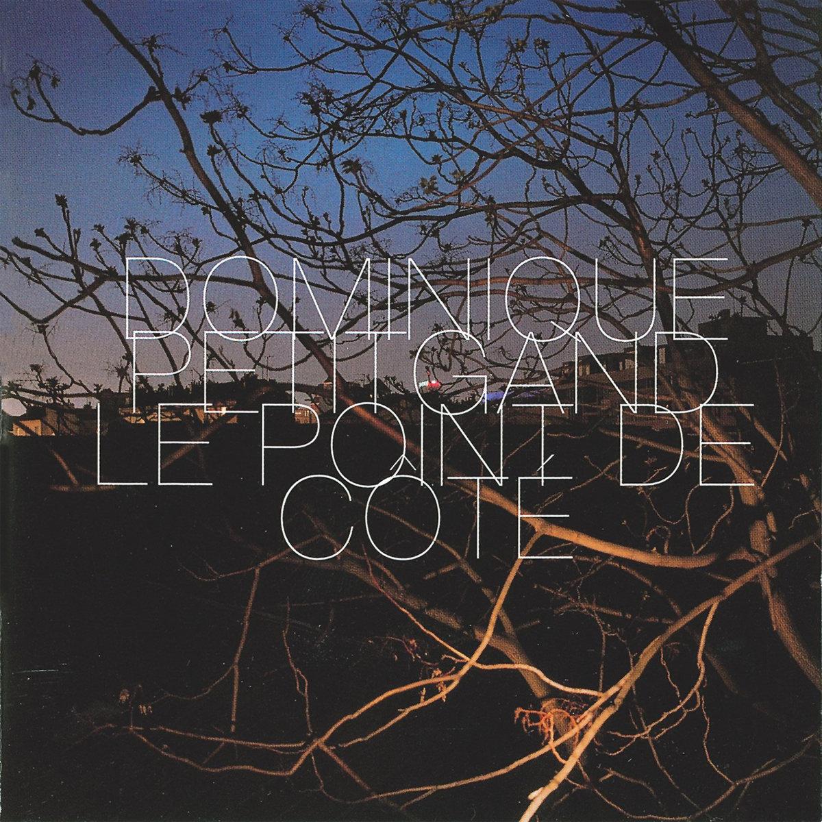 Le Point De Côté - Dominique Petitgand