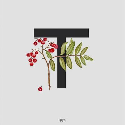 7 - Труд