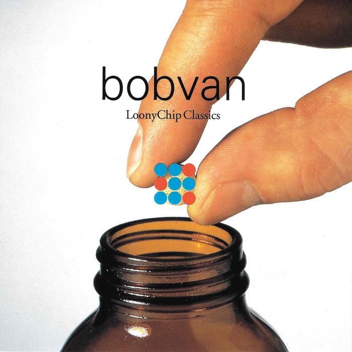 LoonyChip Classics - Bobvan