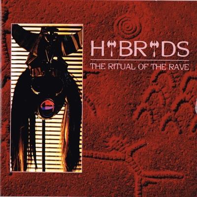  - Hybryds