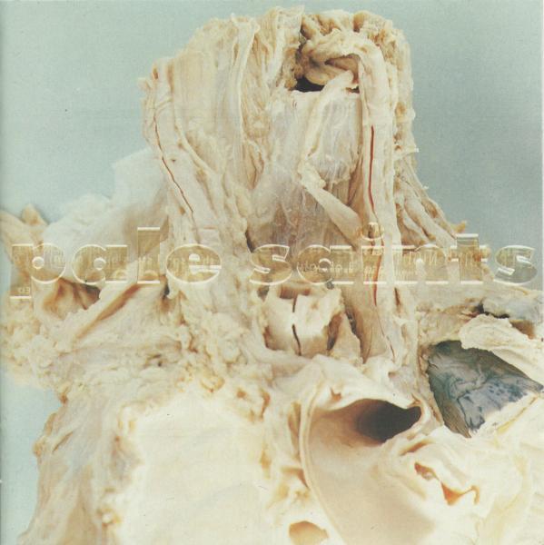 In Ribbons [30th Anniversary Reissue] [Disc 1] - Pale Saints