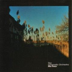  - Cinematic Orchestra