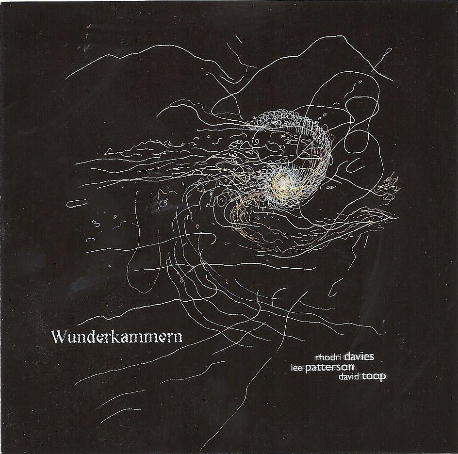 Wunderkammern - Rhodri Davies, Lee Patterson & David Toop