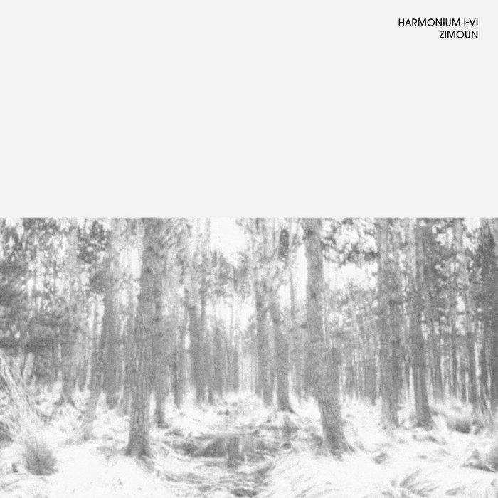 Harmonium I-VI - Zimoun