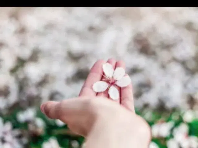  - Keiko Mizukoshi