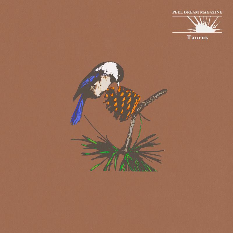 Taurus - Peel Dream Magazine