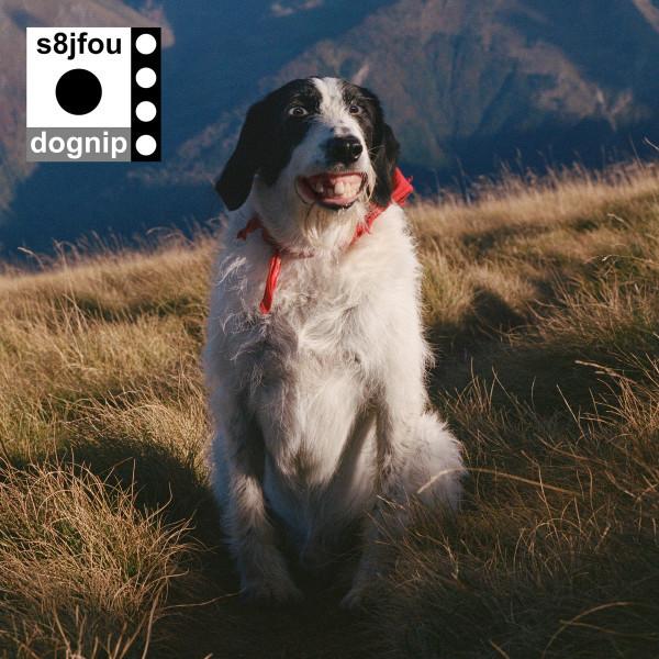 Dognip - s8jfou