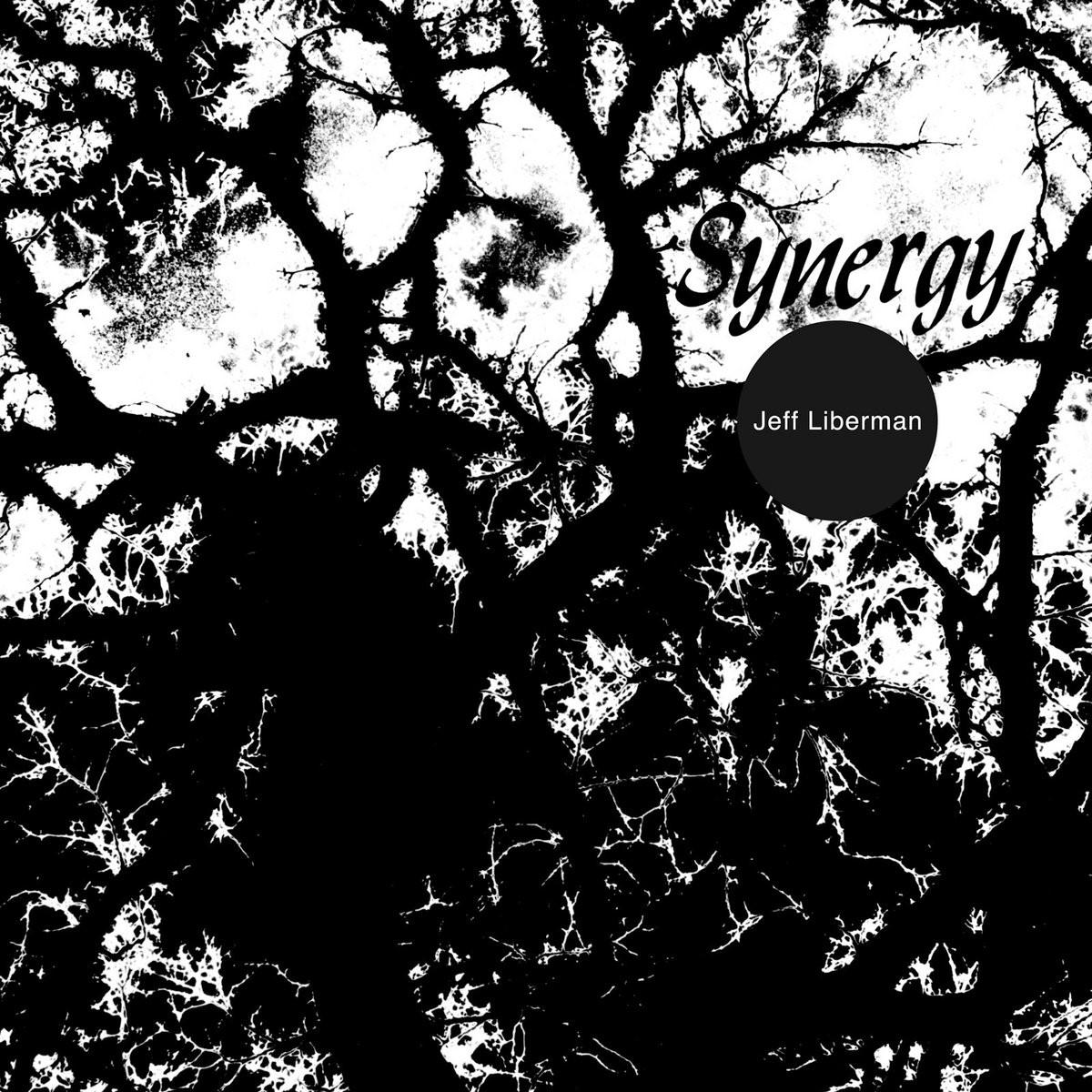 Synergy - Jeff Liberman