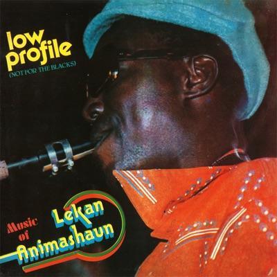Nigeria 80 - Lekan Animashaun