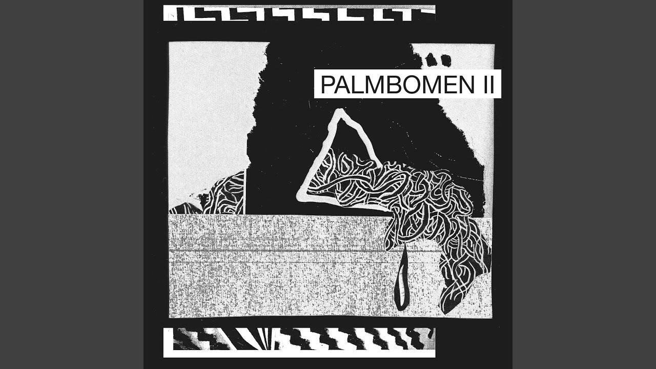  - Palmbomen