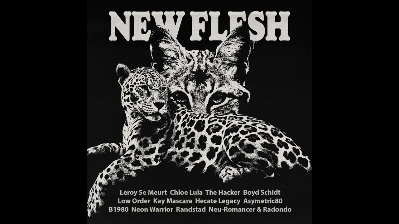 New Flesh II - The Hacker