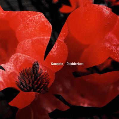 Desiderium - Gannein