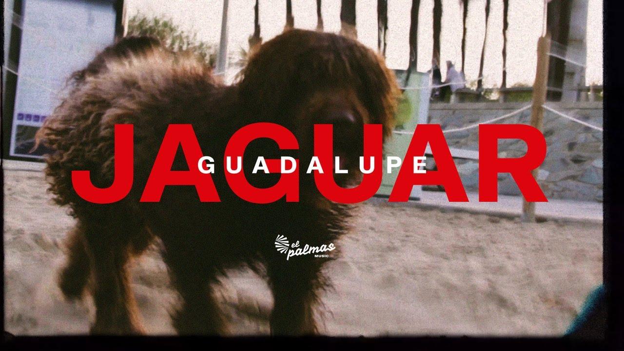 Madremonte - Jaguar