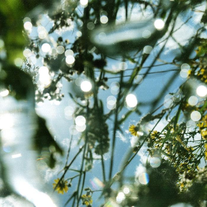 Bird Tool (inc. Ayesha Remix) - Cabasa