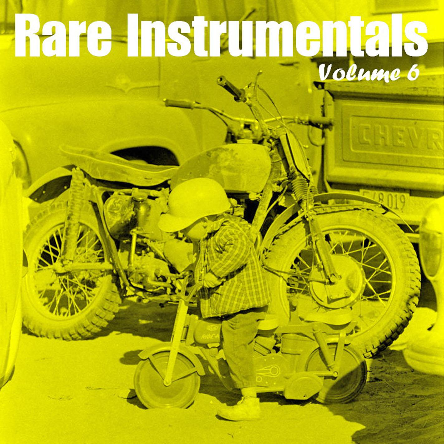 Rare Instrumentals From Vinyl - Vol 6 - The Grass-Hoppers