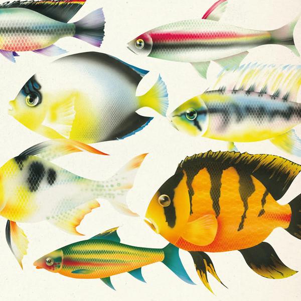  - apiento & co