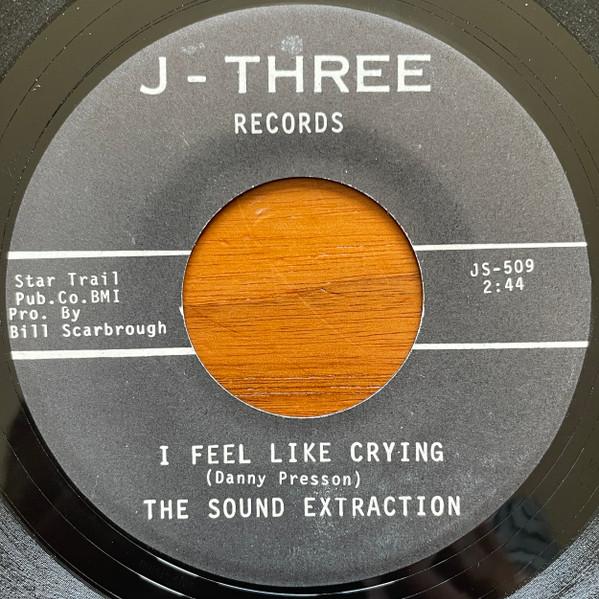 I Feel Like Crying - The Sound Extraction