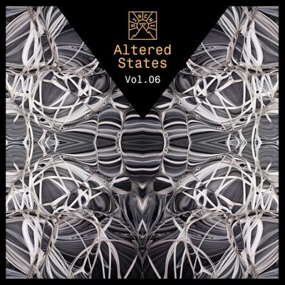 Sinchi - Altered States Vol. 6 - A-Tweed & Alberto Melloni