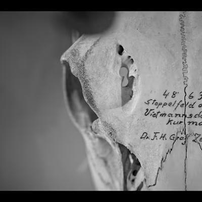 12 Conversations - Ryuichi Sakamoto,  Alva Noto