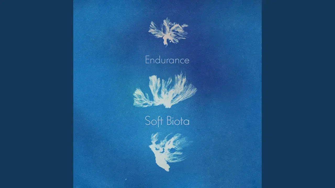 Soft Biota - Endurance